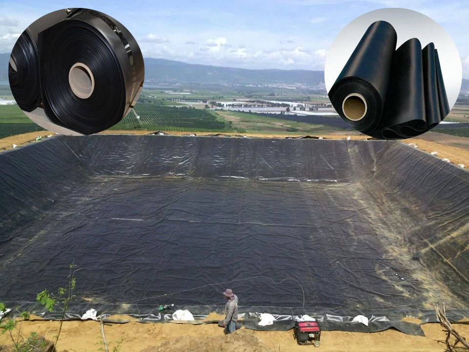 Водоустойчивое пластиковое LDPE/LLDPE/PVC/HDPE Geomembrane для цены по прейскуранту завода-изготовителя вкладыша пруда креветки