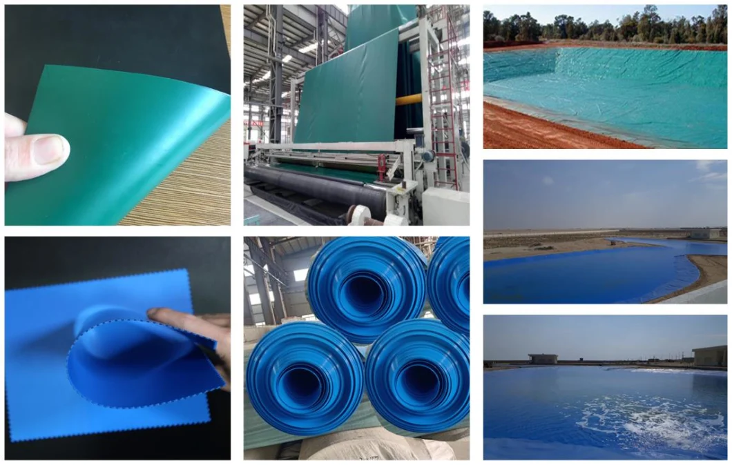 Водоустойчивое пластиковое LDPE/LLDPE/PVC/HDPE Geomembrane для цены по прейскуранту завода-изготовителя вкладыша пруда креветки