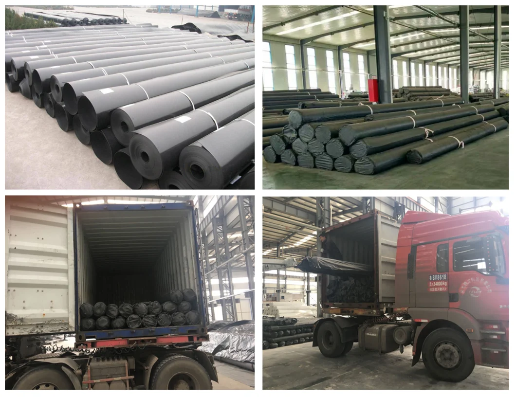 Водоустойчивое пластиковое LDPE/LLDPE/PVC/HDPE Geomembrane для цены по прейскуранту завода-изготовителя вкладыша пруда креветки