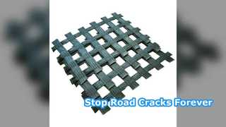 Fiberglass Geogrid Asphalt Reinforcement for Road Projects
