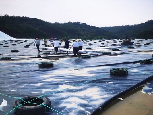 1.5 мм HDPE Geomembrane Liner со специализированной химической устойчивостью для просачивающих подушек для горных гор