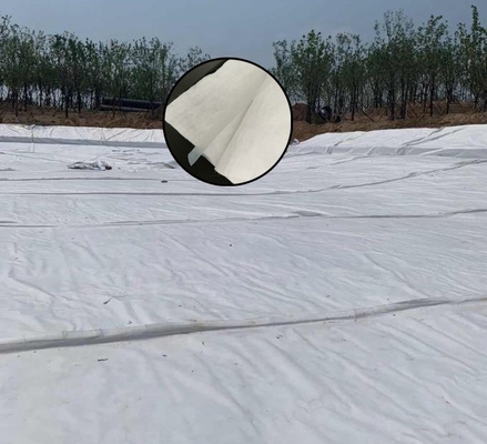 Изоляция конструкции тоннеля движения Geomembrane не сплетенной ткани составная