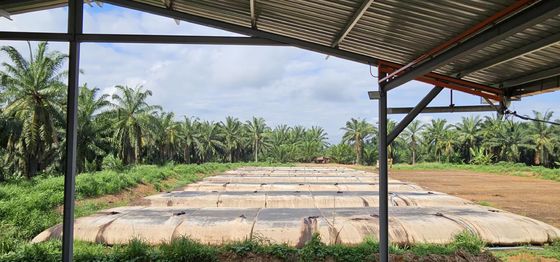 Circumference 12.6m and 15.7m Geotextile Dewatering Tubes Open Size 0.4mm Height 1.5m 1.8m 2.0m 2.5m Designed for Sludge Separation