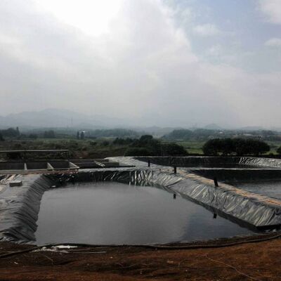 Ультрафиолетоустойчивый 1,5 мм гладкий HDPE Geomembrane Liner для сельскохозяйственных оросительных резервуаров