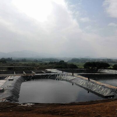 Устойчивый HDPE Geomembrane Liner сельскохозяйственная ферма прудный линейник для безопасного аквакультурного разведения