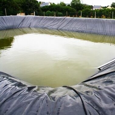 Устойчивый HDPE Geomembrane Liner сельскохозяйственная ферма прудный линейник для безопасного аквакультурного разведения