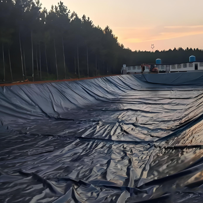 Черная геомембрана HDPE для прудов с морскими креветками и рыбой