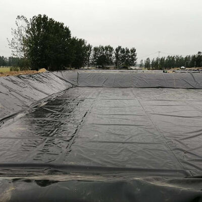 Black HDPE Geomembrane Pond Liner Sheet for Fish Farm Waterproofing
