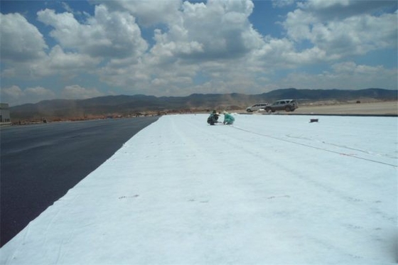 Игла пробила Pp или Geotextile любимца не сплетенный для защиты среды
