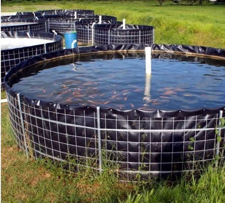 Ровная поверхностная толщина 0.2~3mm вкладыша PVC Geomembrane для питаться рыб креветки